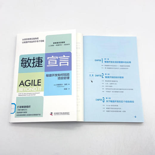 敏捷宣言：敏捷开发如何赋能项目管理 商品图8