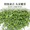 【2026新茶上市】泥巴哥精品雀舌烘青绿茶明前青叶甘露100g*2罐 商品缩略图4