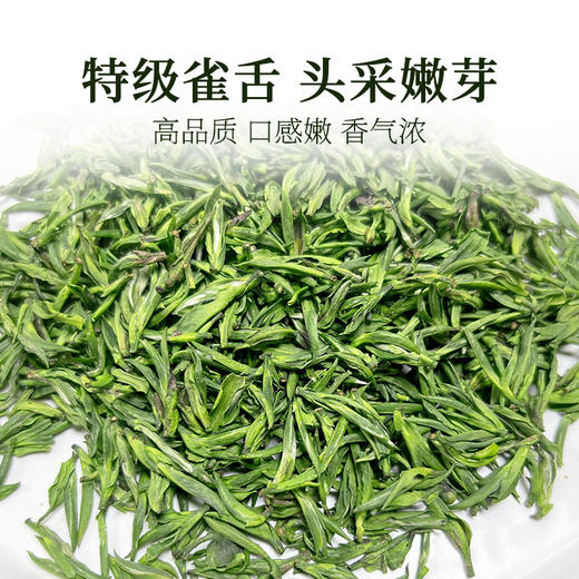【2026新茶上市】泥巴哥精品雀舌烘青绿茶明前青叶甘露100g*2罐 商品图4