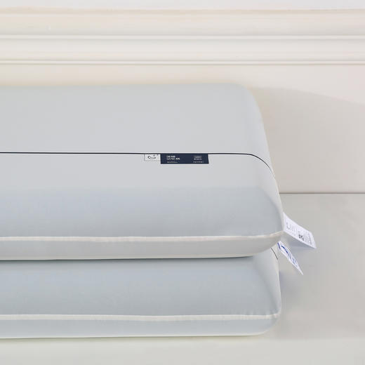 水漾-零感双芯深睡枕 商品图1