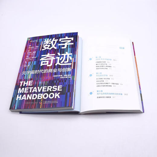 数字奇迹：元宇宙时代的商业与创新 商品图8