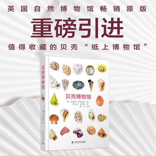 贝壳博物馆（英国自然博物馆原版引进！值得收藏的贝壳“纸上博物馆”！） 商品图0