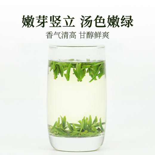 【2026新茶上市】泥巴哥精品雀舌烘青绿茶明前青叶甘露100g*2罐 商品图2
