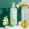 三生花精油香氛洗发露-去屑止痒 商品缩略图3