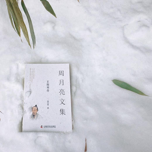 周月亮文集（全11册） 商品图5