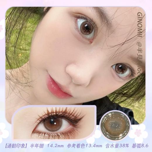 GINOMII Brown 通勤印象 14.2mm【半年抛1片】 商品图0