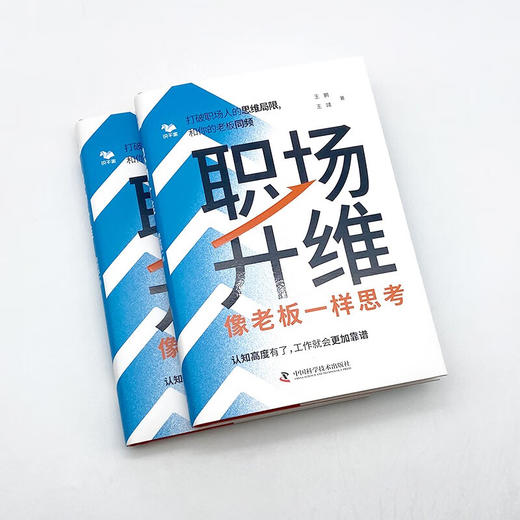 职场升维：像老板一样思考 商品图3