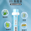 晓婴坊3#鱼腥草水疗精萃液 商品缩略图2