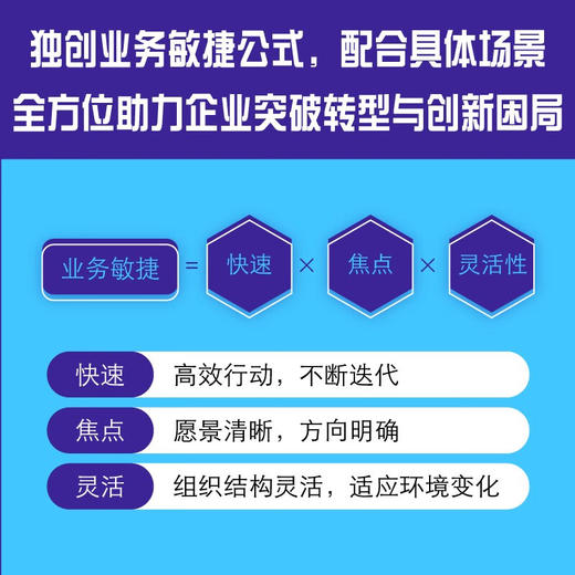 业务敏捷：企业的数字化转型之道（第2版） 商品图2