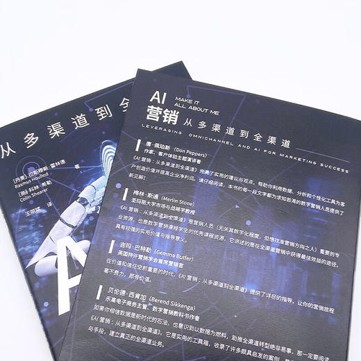 AI营销：从多渠道到全渠道 商品图6
