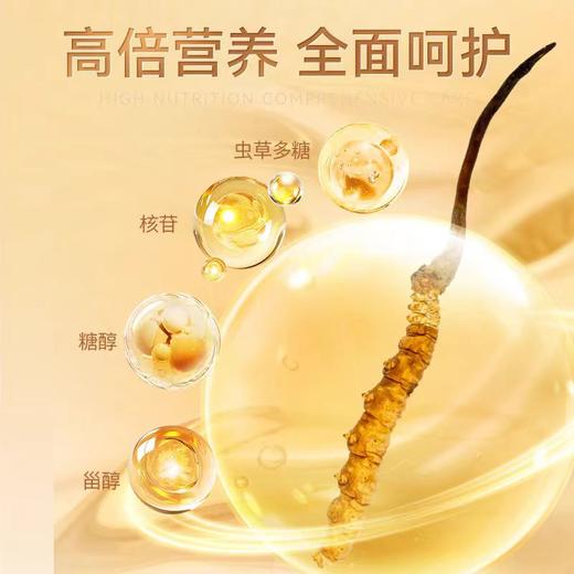 【会员秒杀】东阳光冬虫夏草 冻干虫草4根尝鲜装 商品图3