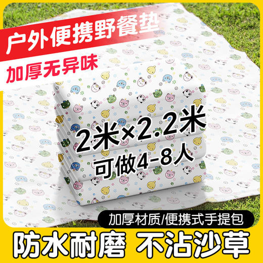「防水耐磨！一次性野餐垫」加厚隔脏户外防潮双人防水防油沙滩草坪野营地垫子户外装备 商品图0