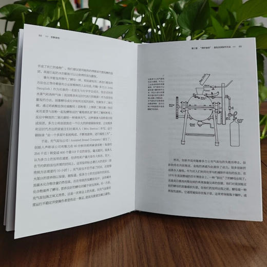 发酵食物 商品图5