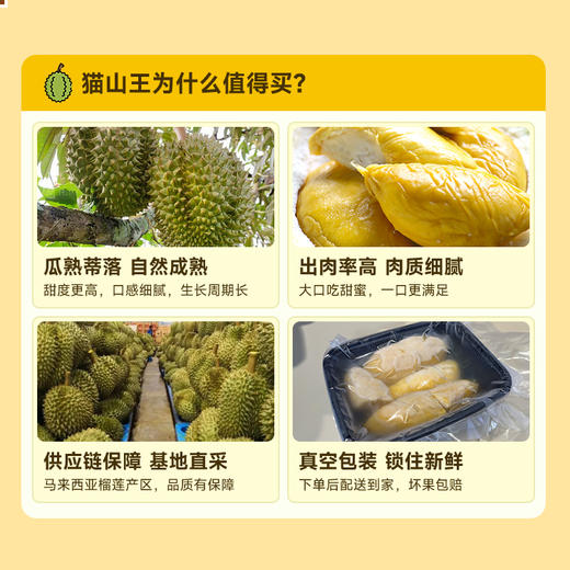 【BF】猫山王榴莲整果BC级 约2-2.5斤(保3房) 商品图2