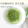 【2026新茶】泥巴哥7星云雾明前高山绿茶125g*2袋 商品缩略图1