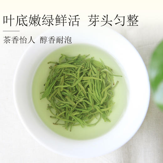 【2026新茶】泥巴哥7星云雾明前高山绿茶125g*2袋 商品图1