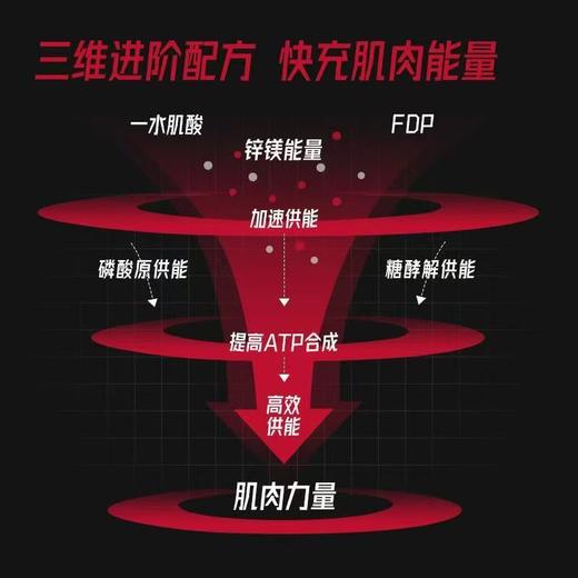 【FoYes】锌镁肌酸300g 盒装/散装 商品图3