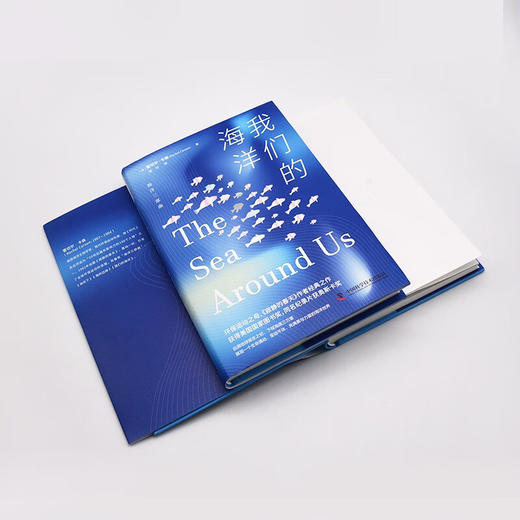 我们的海洋：展现充满美与力量的海洋世界（精装典藏版） 海洋环保三部曲系列丛书 商品图9