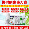 桃树病虫方案螺虫乙酯果树柑橘介壳虫蚜虫蓟马专用杀虫剂套餐正品 商品缩略图1