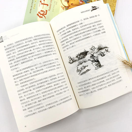 兔子坡  纽伯瑞儿童文学金奖作品  儿童文学 商品图4