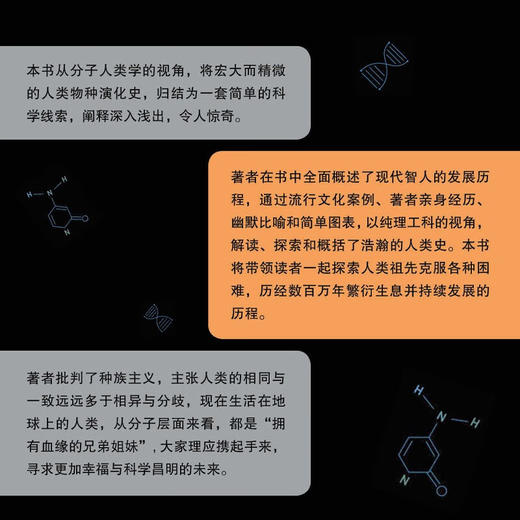 血缘与人类：从分子视角重读人类演化史 商品图4