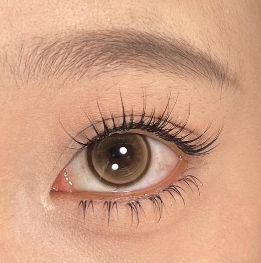 Yukicon旗下 ·灰幼灵 ·冰川茶｜日抛｜14.2mm白狮参考着色待测 商品图2