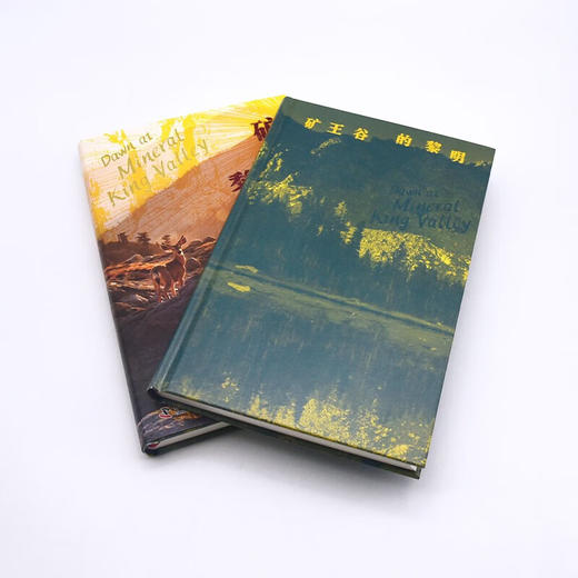 矿王谷的黎明：塞拉俱乐部诉莫顿案与美国环境法的转变（精装典藏版） 商品图5