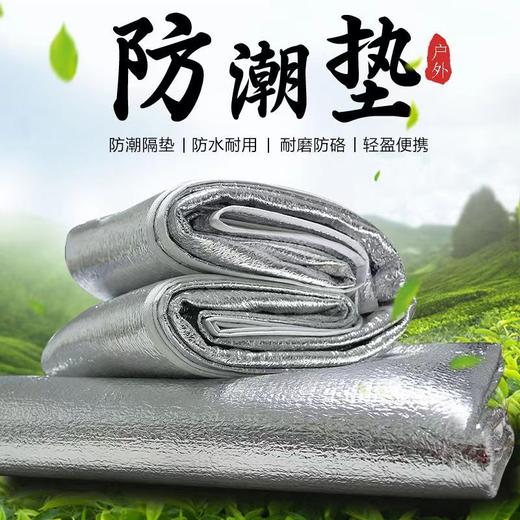 【正反两面！防潮铝膜】3mm户外露营双面铝膜帐篷防潮垫露营野营沙滩野餐出游垫室内宿舍加厚床垫。ry 商品图1