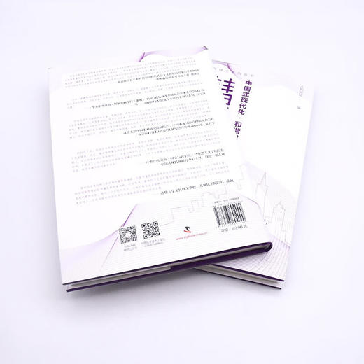 智慧城市：中国式现代化·和谐发展之路 中国道路发展新理念系列丛书（精装典藏版） 商品图6