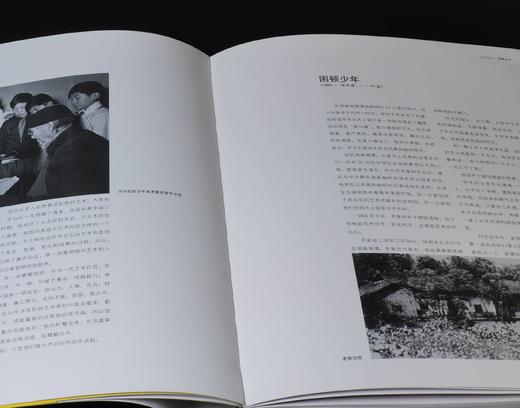 中国艺术大师：《齐白石》，8开，吕立新著，河北美术出版社2009年一版一印，288页，定价180，售价70元。 商品图5