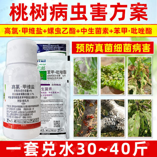 桃树病虫方案螺虫乙酯果树柑橘介壳虫蚜虫蓟马专用杀虫剂套餐正品 商品图4