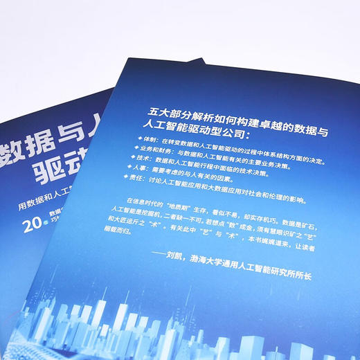 数据与人工智能驱动型公司：用数据和人工智能升级企业 deepseek教程 商品图6