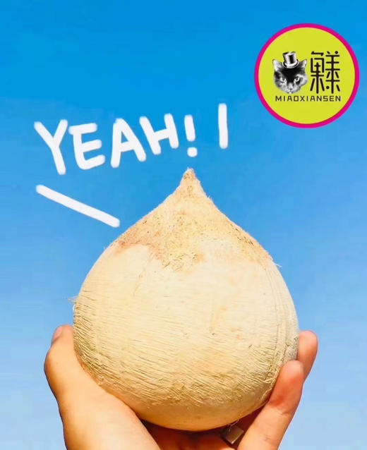 🛵泰国奶香椰皇天然清甜无添加 商品图1