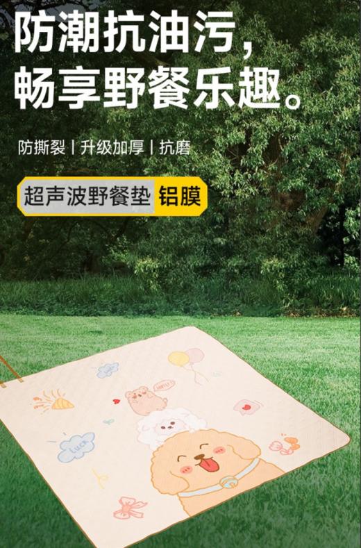 超声波野餐防潮垫(Y303) 商品图0