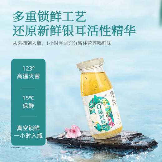 猫千岁0糖鲜炖 商品图1