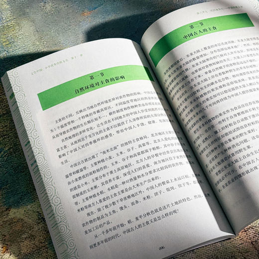 文化中国 中华优秀传统文化 适用于高中阶段 文言文古诗词古文 第十册十一册十二册 商品图11