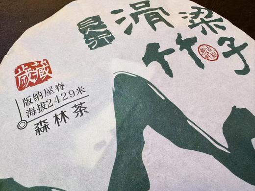2024 滑竹梁子 海拔2429米  版纳之巅 普洱生茶 357克 商品图1