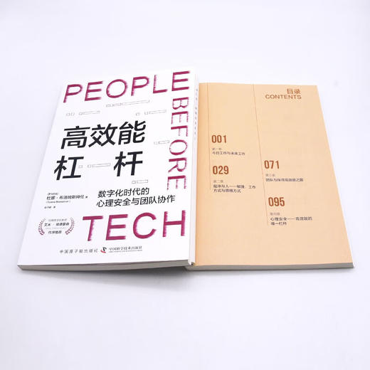 高效能杠杆：数字化时代的心理安全与团队协作 商品图7