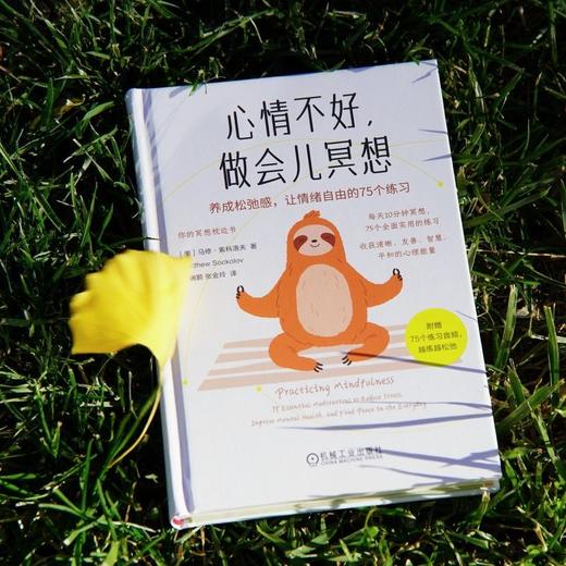 心情不好,做会儿冥想:养成松弛感,让情绪自由的75个练习 商品图4