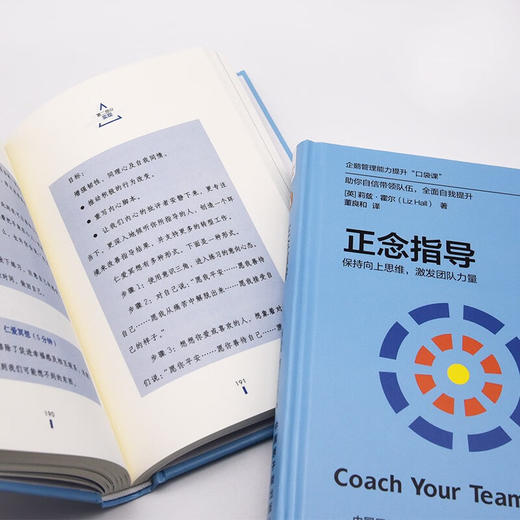 正念指导：保持向上思维，激发团队力量（精装典藏版） 企鹅管理能力提升“口袋课” 商品图8
