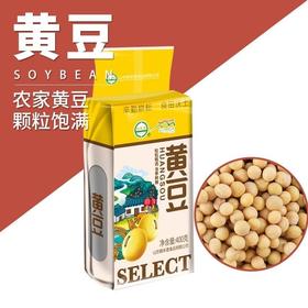 「严选谷物」黄豆400克黄豆 五谷杂粮黄大豆400克发芽豆浆 粮油米面