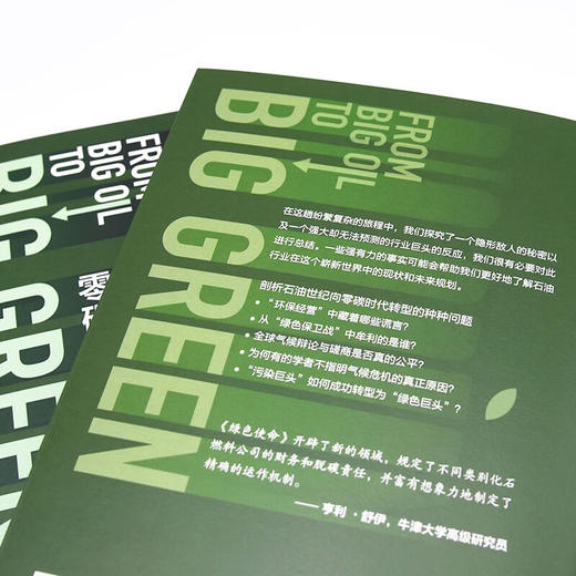 绿色使命：从石油世纪迈向零碳时代 商品图6