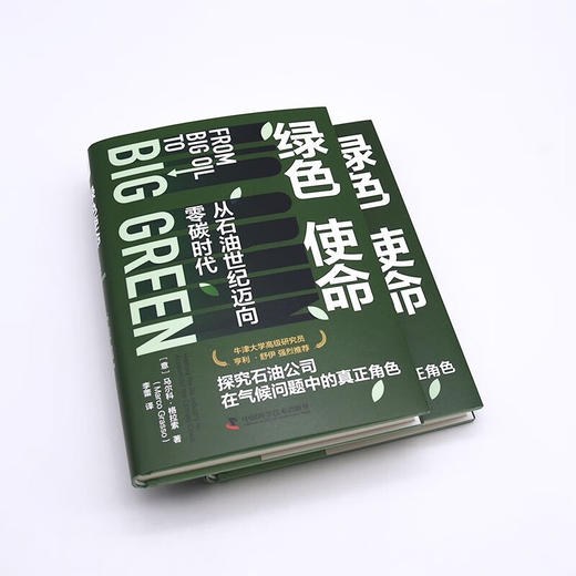 绿色使命：从石油世纪迈向零碳时代 商品图4