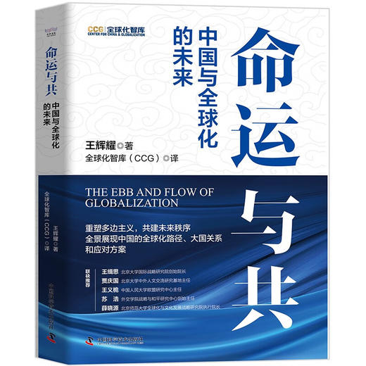 命运与共：中国与全球化的未来 商品图3