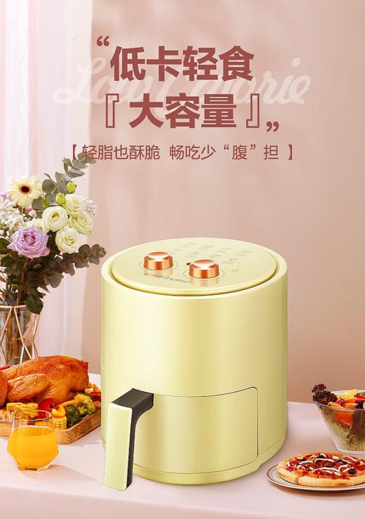 荣事达-空气炸锅 商品图0