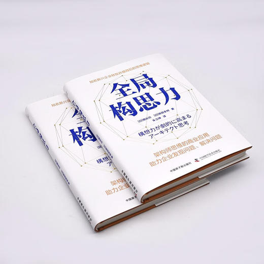 全局构思力：揭秘知名新兴企业转型升级背后的思维逻辑（精装典藏版） 商品图5