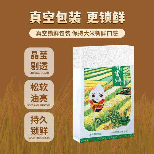 彝香粹 楚粳49号香米清香系列香米5kg 商品图1