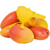 海南贵妃芒果 商品缩略图0