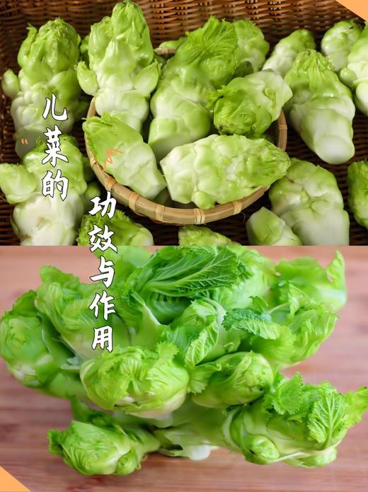 儿菜1.8元1斤，明天到 商品图2