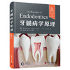牙髓病学原理（原书第3版） 商品缩略图0